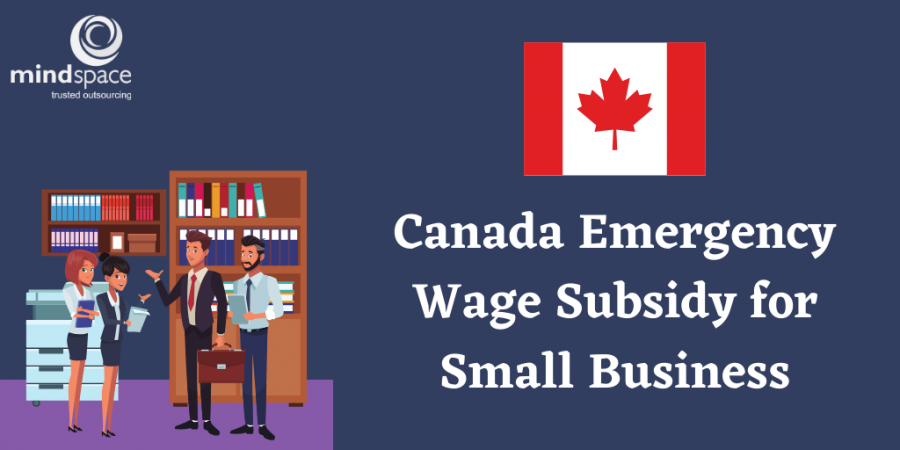 Canada Emergency Wage Subsidy for Small Business