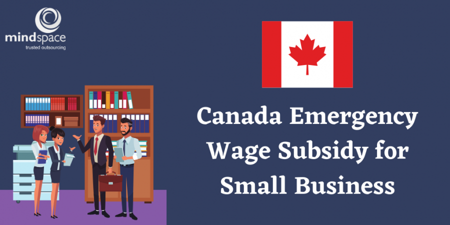 Payroll CA-Canada Emergency Wage Subsidy for Small Businesses