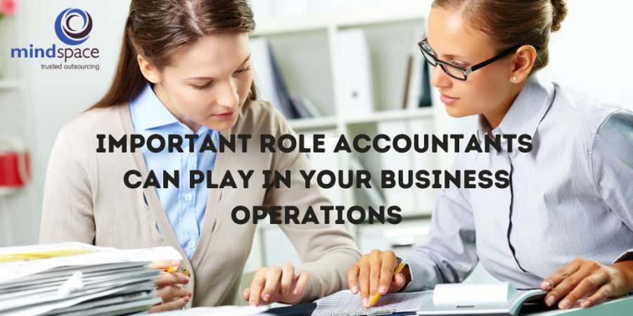 Important Role Accountants Can Play In Your Business Operations
