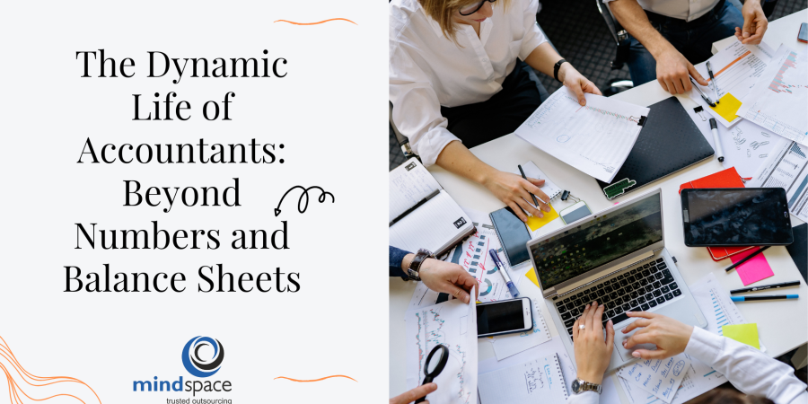 The Dynamic Life of Accountants: Beyond Numbers and Balance Sheets