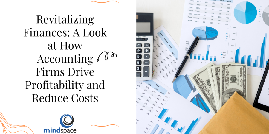 Revitalizing Finances: A Look at How Accounting Firms Drive Profitability and Reduce Costs