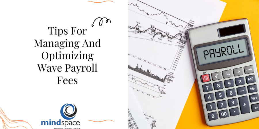 Tips For Managing And Optimizing Wave Payroll Fees