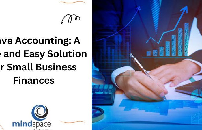 Wave Accounting: A Free and Easy Solution for Small Business Finances