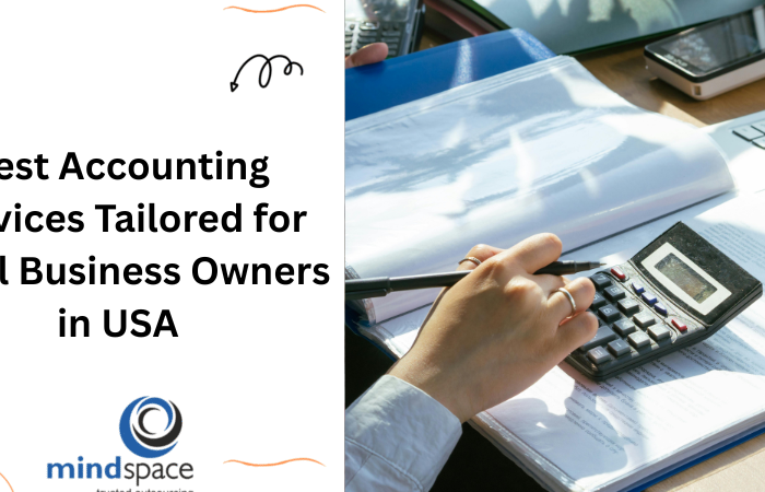 Best Accounting Services Tailored for Small Business Owners in USA