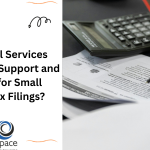 What Payroll Services Provide Audit Support and Reporting for Small Business Tax Filings