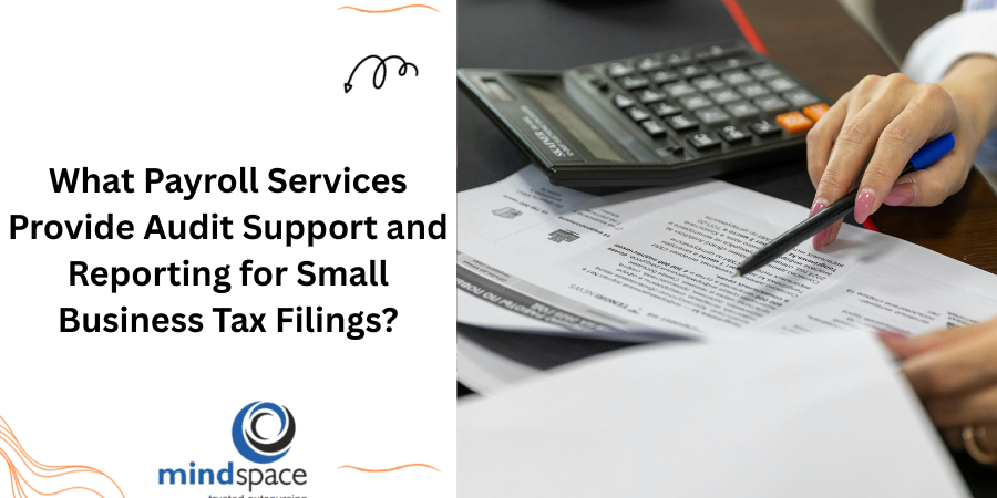 What Payroll Services Provide Audit Support and Reporting for Small Business Tax Filings?