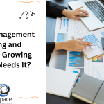 What is Management Reporting