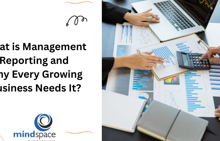 What is Management Reporting and Why Every Growing Business Needs It?