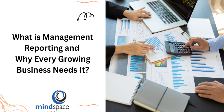 What is Management Reporting