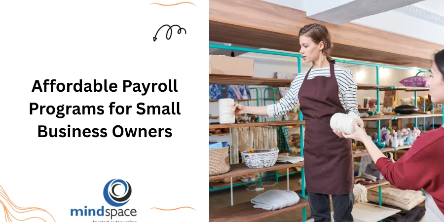 Affordable Payroll Programs for Small Business Owners