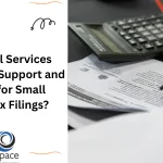 What Payroll Services Provide Audit Support and Reporting for Small Business Tax Filings