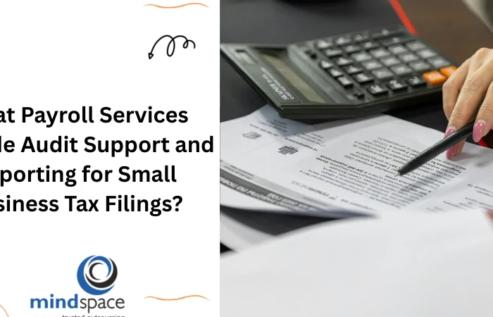 What Payroll Services Provide Audit Support and Reporting for Small Business Tax Filings?