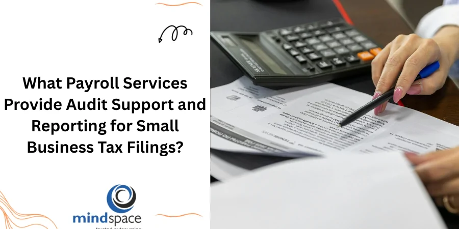What Payroll Services Provide Audit Support and Reporting for Small Business Tax Filings